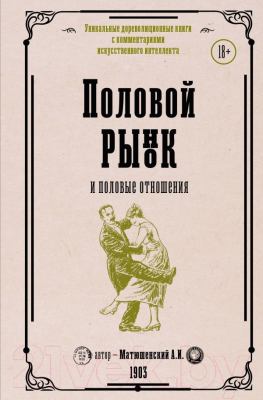 Книга АСТ Половой рынок и половые отношения / 9785171516567 (Матюшенский А.И.)