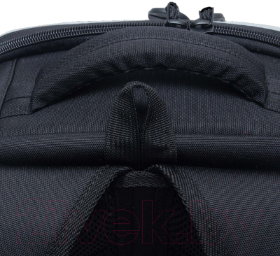 Школьный рюкзак Grizzly RAw-497-1 (черный)