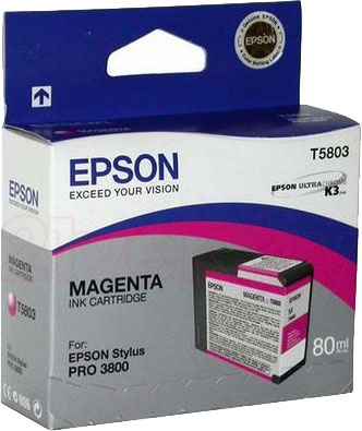 Картридж Epson C13T580300 - общий вид
