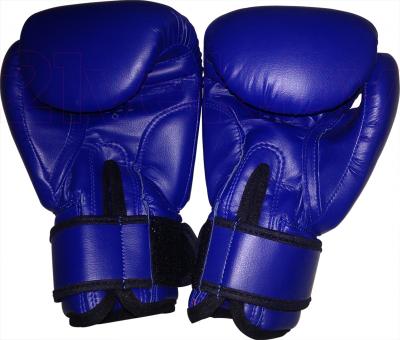 Боксерские перчатки Bulls TT-2019-10 - общий вид