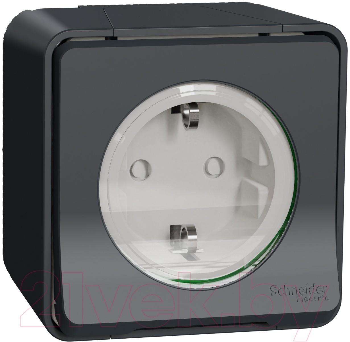 Розетка Schneider Electric Mureva Styl MUR36034