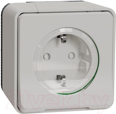 Розетка Schneider Electric Mureva Styl MUR39034