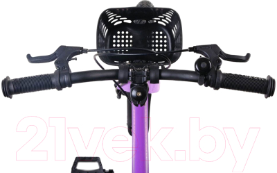Детский велосипед Maxiscoo Jazz Pro 18 2024 / MSC-J1833P (фиолетовый матовый)