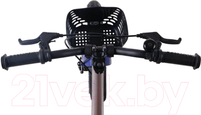 Детский велосипед Maxiscoo Jazz Pro 18 2024 / MSC-J1835P (серый жемчуг)
