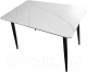 Обеденный стол Mio Tesoro Фиоре 120х60 (белый/черный) - 