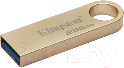 Usb flash накопитель Kingston DataTraveler SE9 G3 256GB (DTSE9G3/256GB)