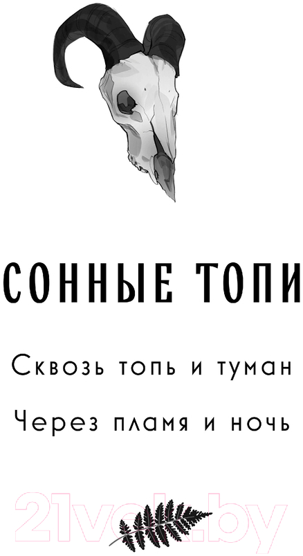 Художественная книга Черным-бело Сквозь топь и туман / 9785041958923 (Андрианова А.А.) — фото 2