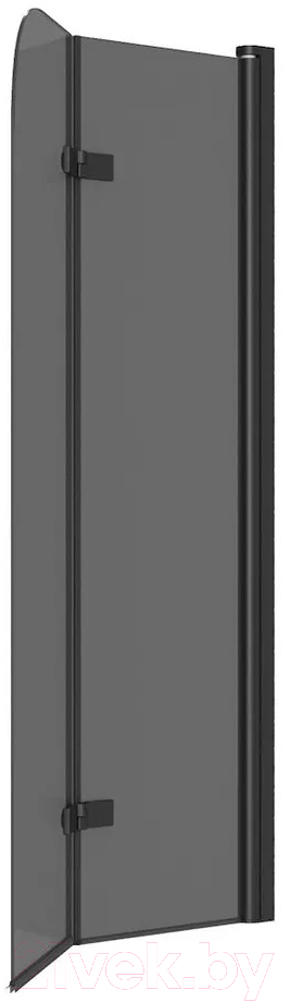 Стеклянная шторка для ванны Teymi Anni S 80x140 / T00278 (тонированное стекло/черный матовый) — фото 2