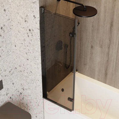 Стеклянная шторка для ванны Teymi Anni S 100x140 / T00281 (тонированное стекло/черный матовый)