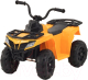 Детский квадроцикл Rant Basic REC-002-Y (желтый) - 