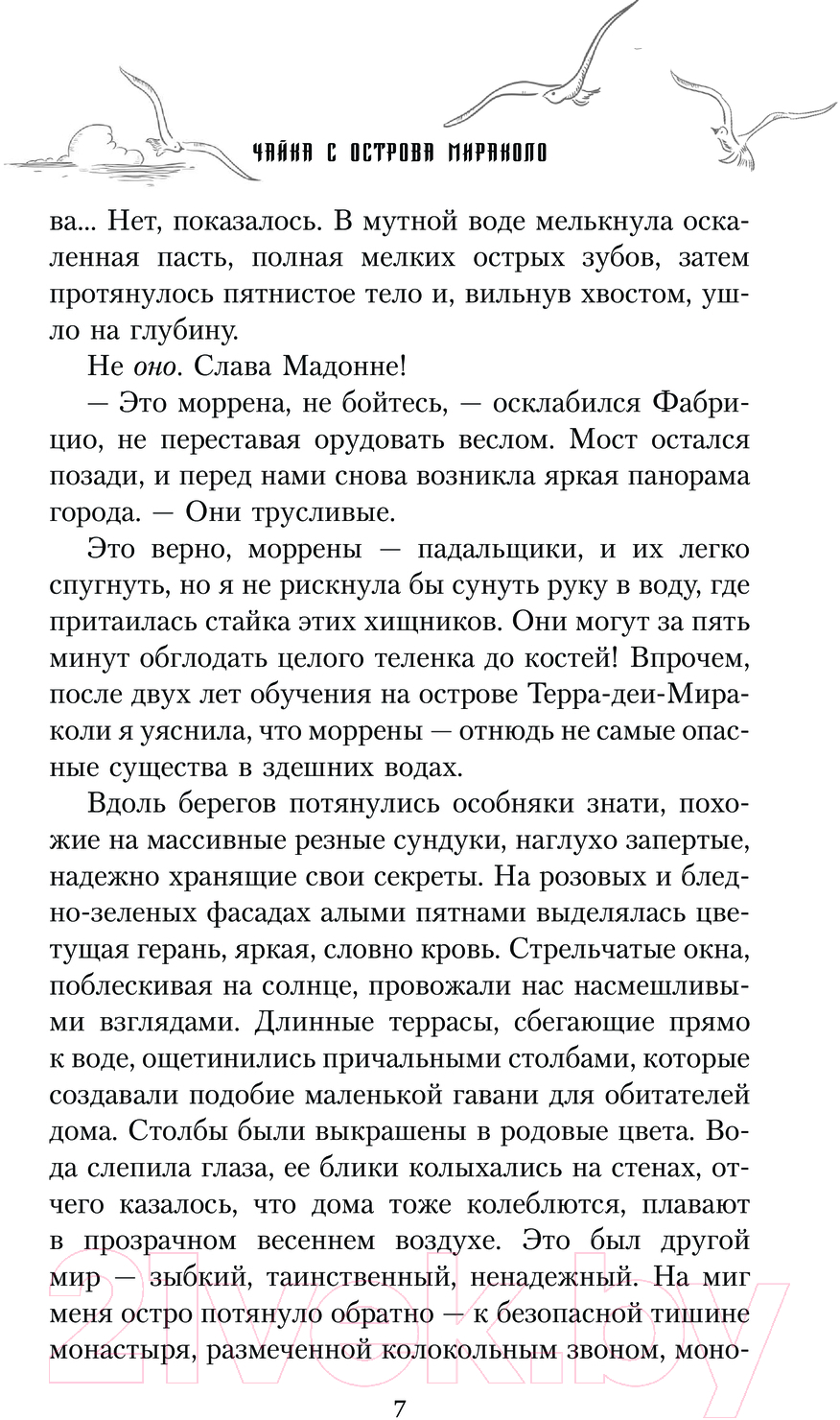 Художественная книга АСТ Чайка с острова Мираколо / 9785171614621 (Волгина А.) — фото 5