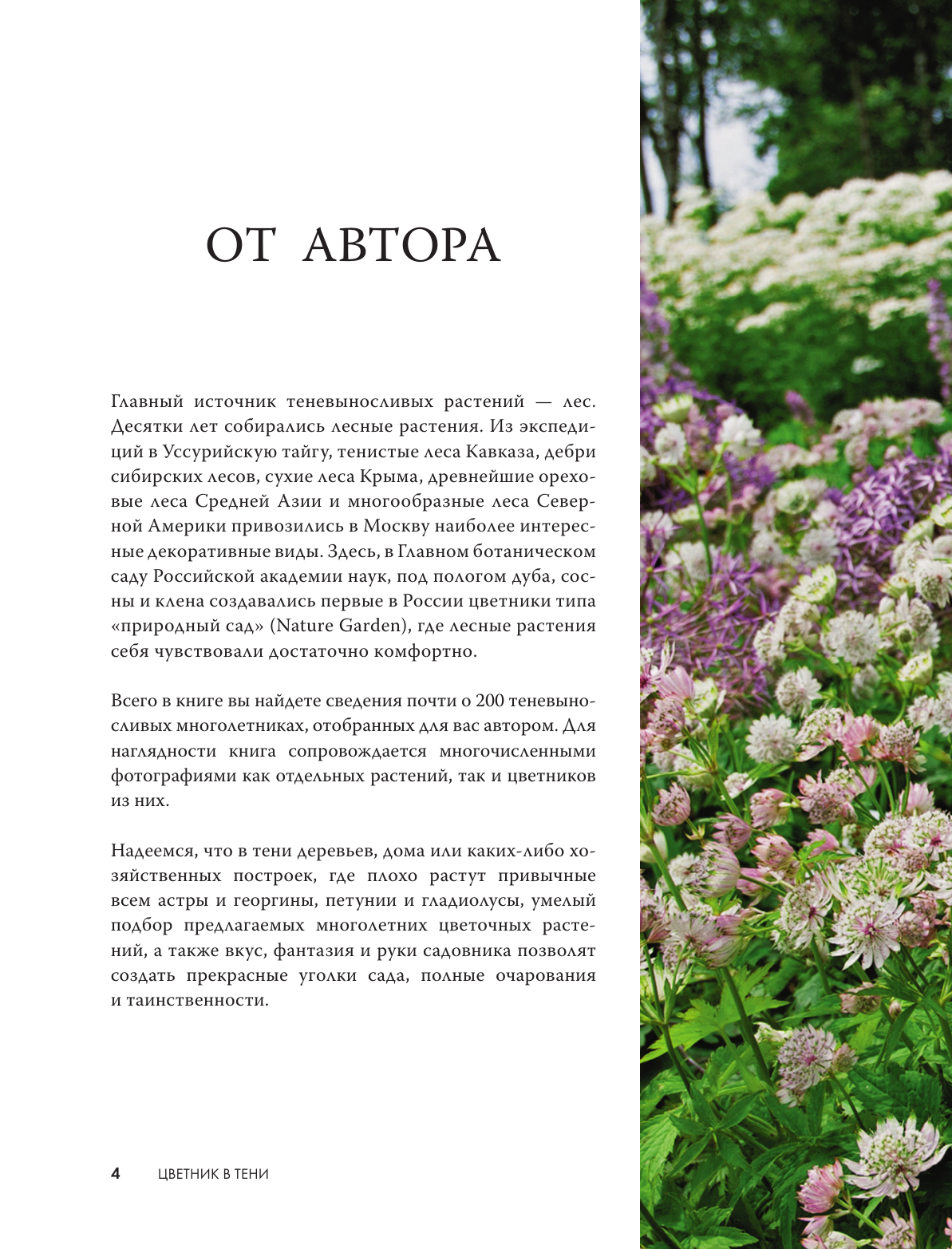 Нехудожественная книга АСТ Цветник в тени. Неприхотливые растения для вашего сада (Карписонова Римма, твердая обложка) — фото 6