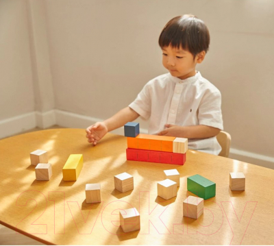 Развивающий игровой набор Plan Toys Кубики Мозайка / 5464