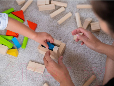 Развивающий игровой набор Plan Toys Кубики 40 цветных блоков / 5513