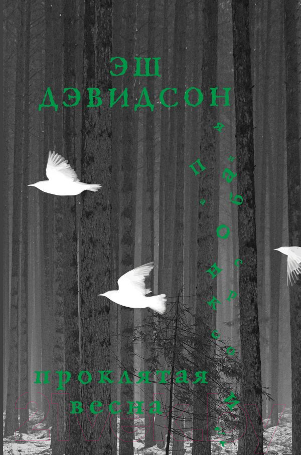 Художественная книга АСТ Проклятая весна / 9785171388423 (Дэвидсон Э.)