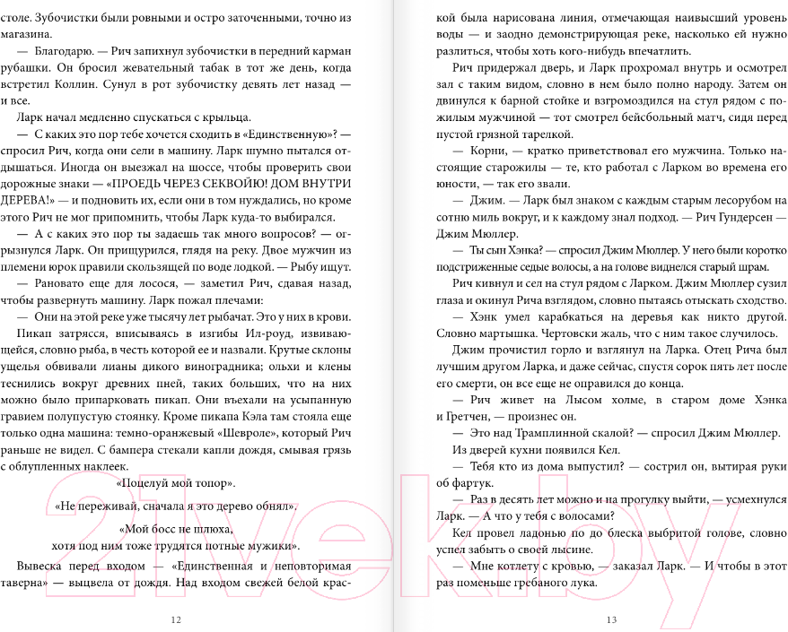 Художественная книга АСТ Проклятая весна / 9785171388423 (Дэвидсон Э.) — фото 6