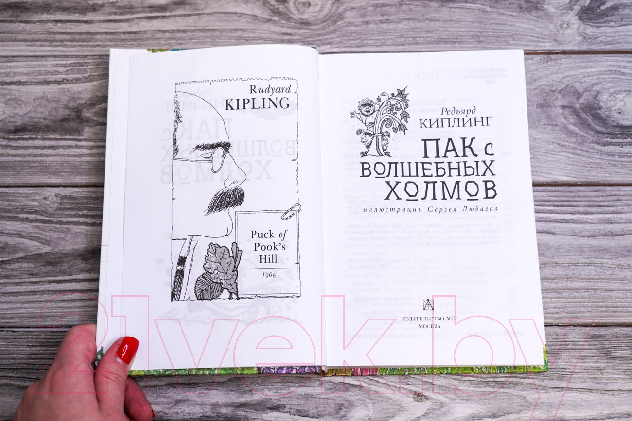 Художественная книга АСТ Пак с волшебных холмов / 9785171510343 (Киплинг Р.) — фото 3