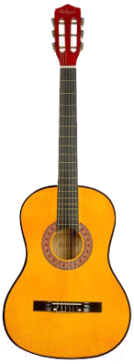 Акустическая гитара Belucci BC3805 OR (с комплектом аксессуаров)