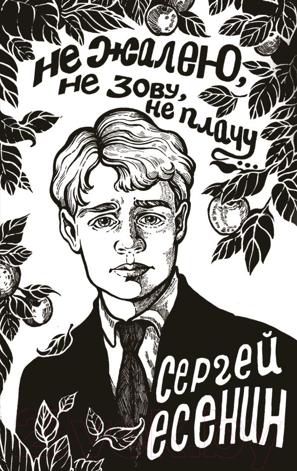 Художественная книга АСТ Не жалею, не зову, не плачу... / 9785171596132 (Есенин С.А.) — фото 1