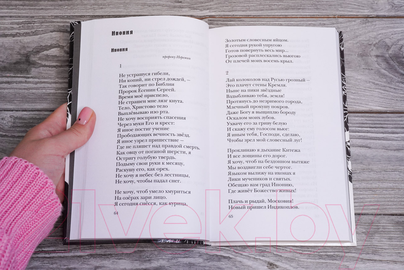 Художественная книга АСТ Не жалею, не зову, не плачу... / 9785171596132 (Есенин С.А.) — фото 3