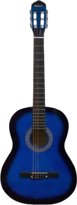 Акустическая гитара Belucci BC3905 BLS (с комплектом аксессуаров)