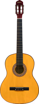Акустическая гитара Belucci BC3905 OR (с комплектом аксессуаров)