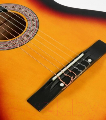 Акустическая гитара Belucci BC3905 SB (с комплектом аксессуаров)