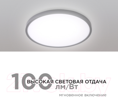 Потолочный светильник Apeyron Electrics 18-137