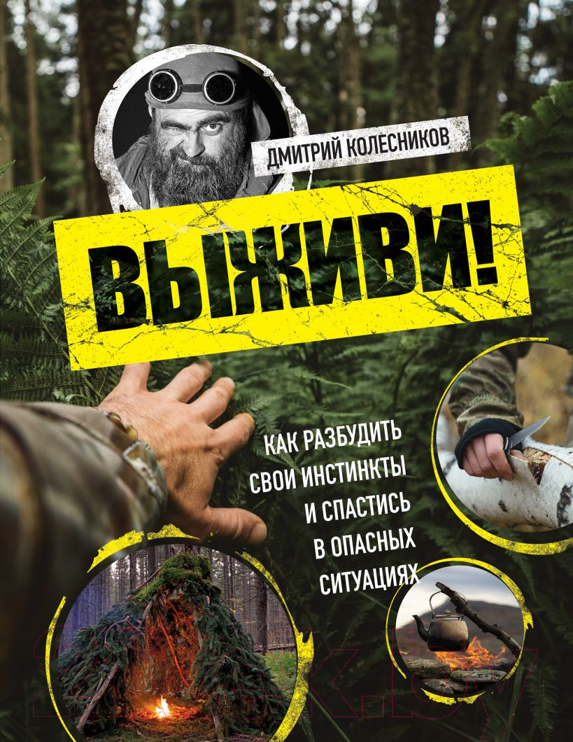 Нехудожественная книга Эксмо Выживи! / 9785699958108 (Колесников Д.В.)