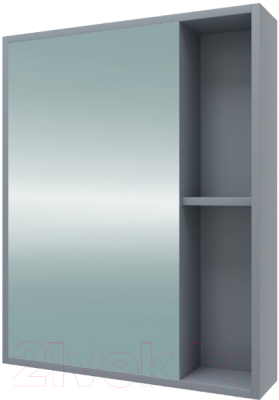 Шкаф с зеркалом для ванной Teymi Aina 50 / T60001 (белый/графит)