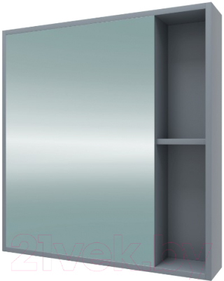 Шкаф с зеркалом для ванной Teymi Aina 60 / T60002 (белый/графит)