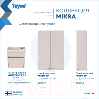 Шкаф с зеркалом для ванной Teymi Mikra 60 / T60716 (белый)