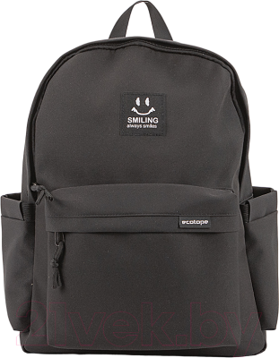 Рюкзак Ecotope 377-0811/1-BLK (черный)