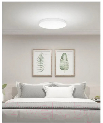 Потолочный светильник Xiaomi Mi Smart LED Ceiling Light / BHR4852TW/MJXDD03YL