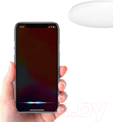 Потолочный светильник Xiaomi Mi Smart LED Ceiling Light / BHR4852TW/MJXDD03YL