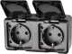 Розетка Tokov Electric Dita TKL-DT-R2Z-C14-IP54 (карбон) -