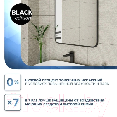 Зеркало Teymi Solli Loft 60x80 Black Edition / T20219 (черный)