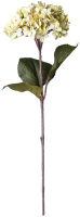 Искусственный цветок Lefard Гортензия / 535-347 (кремовый) - 