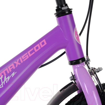 Детский велосипед Maxiscoo Jazz Стандарт Плюс 2024 / MSC-J1633 (фиолетовый матовый)