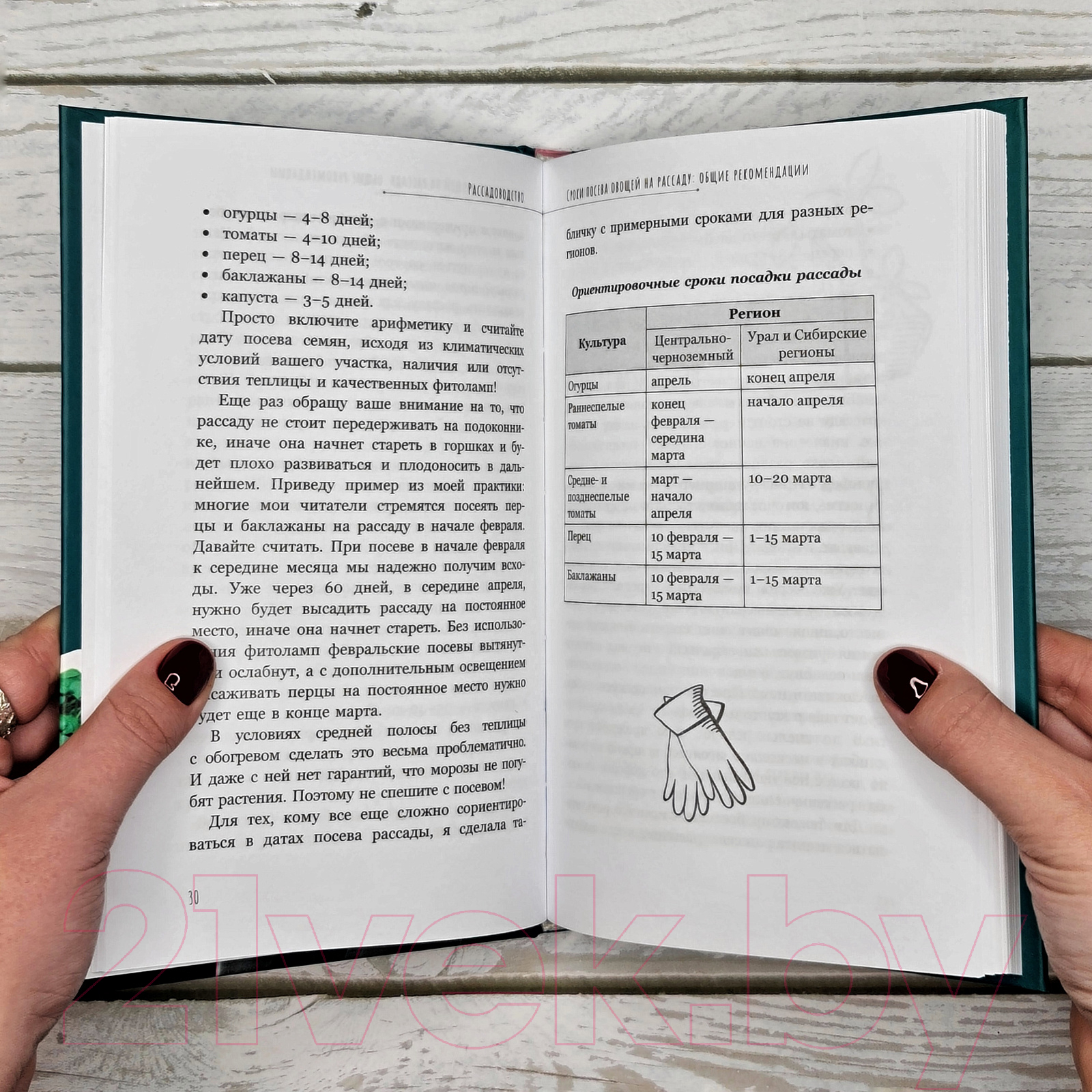 Нехудожественная книга АСТ Рассадоводство. Первые шаги к здоровому урожаю / 9785171573348 (Кузнецова Е.А.) — фото 6