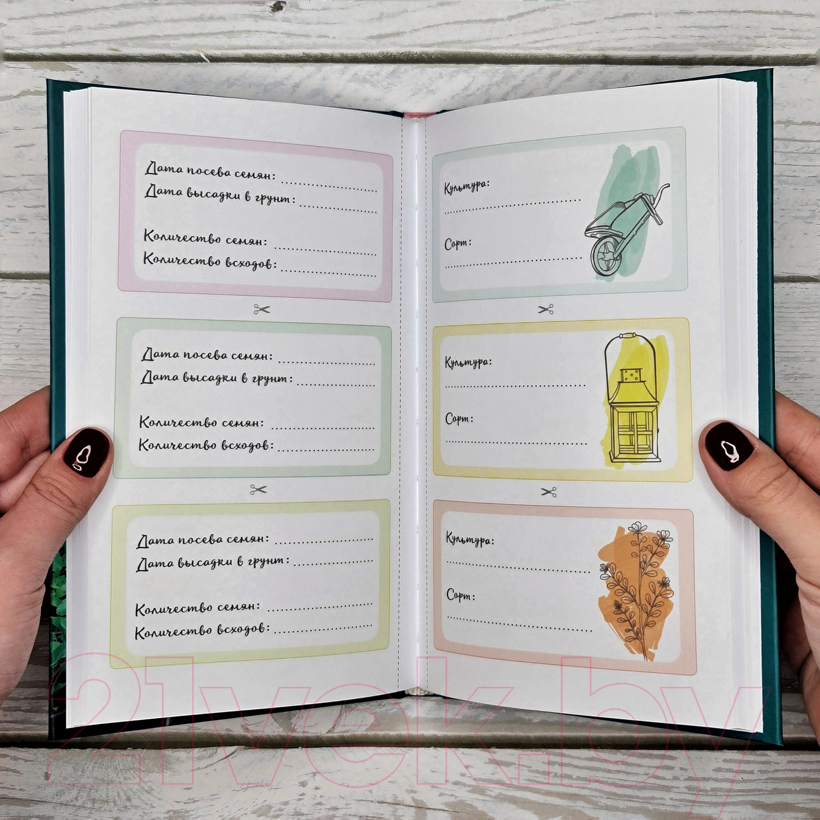 Нехудожественная книга АСТ Рассадоводство. Первые шаги к здоровому урожаю / 9785171573348 (Кузнецова Е.А.) — фото 5