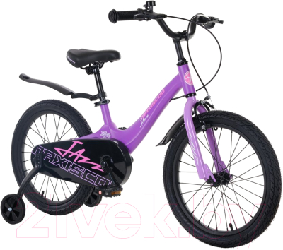 Детский велосипед Maxiscoo Jazz Стандарт 2024 / MSC-J1833 (фиолетовый матовый)