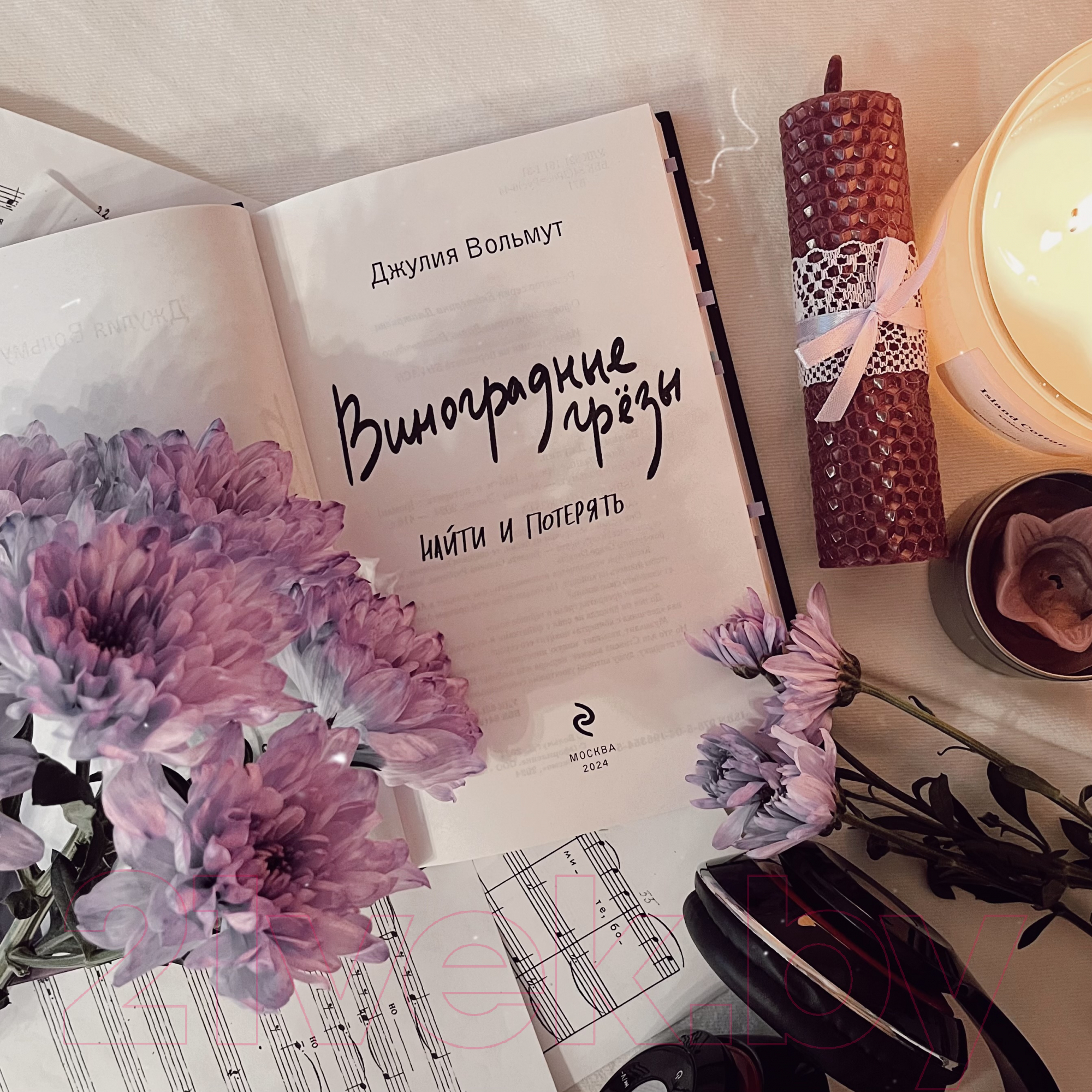 Художественная книга Эксмо Виноградные грезы. Найти и потерять / 9785041963545 (Вольмут Д.) — фото 2