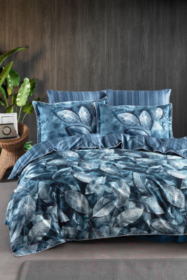 Комплект постельного белья DO&CO Delux Premium Rican / 11900 (голубой)