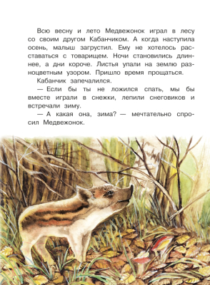 Книга АСТ Новогодние сказки с волшебными картинками (Немцова Н.Л.)