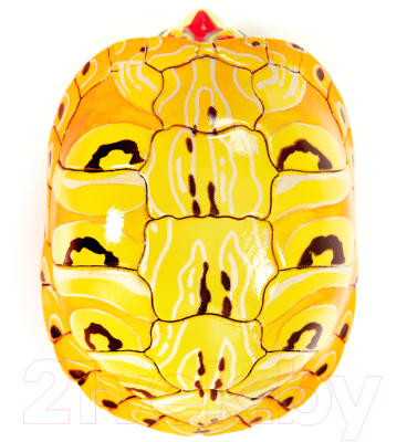 Фигурка коллекционная Exoprima Красноухая черепаха / 56342/AH (желтый/красный)