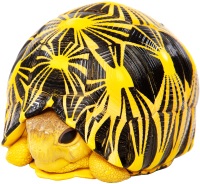 Фигурка коллекционная Exoprima Лучевая черепаха / 26467/AH (черный/желтый) - 
