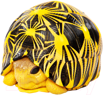 Фигурка коллекционная Exoprima Лучевая черепаха / 26467/AH (черный/желтый)