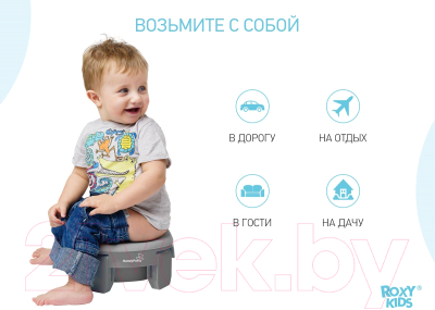 Вставка для детского горшка Roxy-Kids ML-235RU-GR (серый)