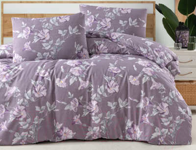 Комплект постельного белья DO&CO Ranforce Santino / 11938 (фиолетовый)